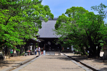 成道山大樹寺 本堂