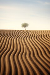 Naklejka premium Lonely tree in the desert with sand dune texture.