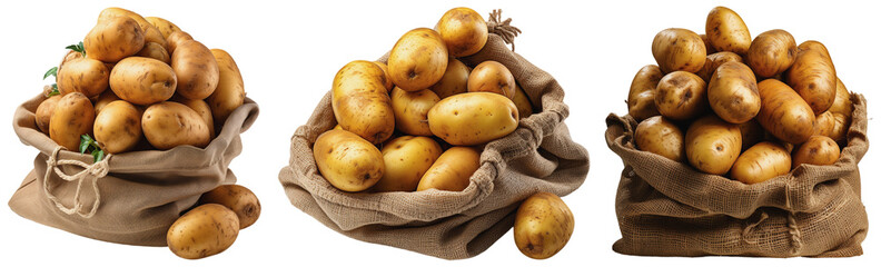 three jute bags with fresh potatoes on a transparent background, Generative AI - Powered by Adobe