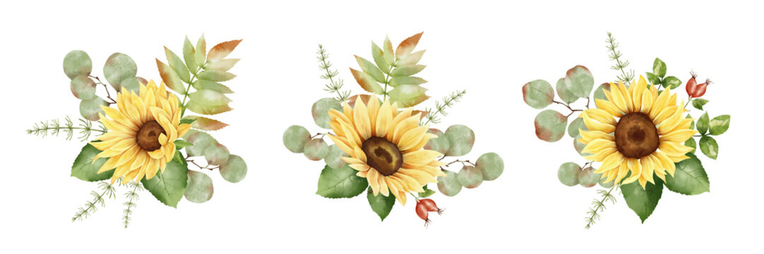 Watercolor bouquet with sunflower yellow flowers, eucalyptus, leaves and plants. Autumn arrangements set. Fall botanical illustration.
