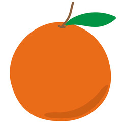 illustration of an orange