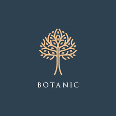 Vector illustration growth elegant botanic Tree with leaves identity logo luxury. icon  plant ecology nature symbols. 