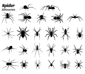 Spider type silhouette vector illustration set