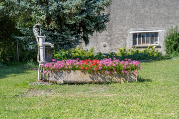 pompe ancienne dans un jardin avec un bac en pierre de géranium, décoration de jardin