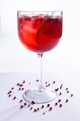 Drink de Gin e frutas vermelhas, limão e frutas desidratadas no fundo branco