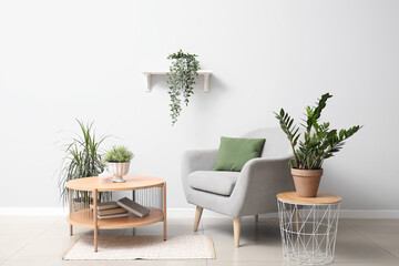 Interior of living room with grey armchair, coffee table and houseplants
