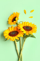Fototapeta premium Beautiful sunflowers and petals on green background
