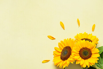 Beautiful sunflowers and petals on light green background