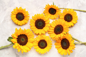 Beautiful sunflowers on grunge grey background