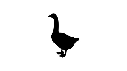 goose silhouette