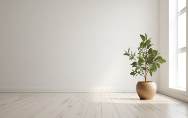 Fototapeta na wymiar Empty white room interior with plant pot on a wooden floor