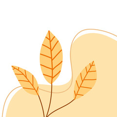 Corner Plant Pale Peach Element