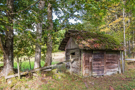 Old wooden shed in pasture