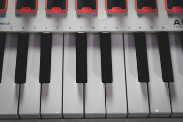 Black and white piano key