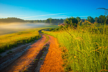 Golden Pathways: Serene Gravel Road in the Summer Sunlight in Northern Europe