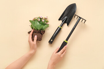 Woman with plant, shovel and rake on beige background