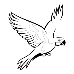 A drawing of a tropical parrot. Color it as you wish