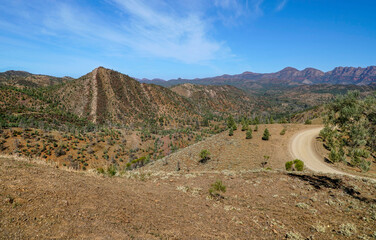 view of the ranges from Razor Lookout