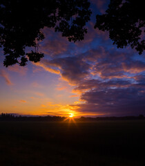 Naklejka na ściany i meble Radiant Dawn: Majestic Colorful Sunrise Painting the Summer Fields in Northern Europe