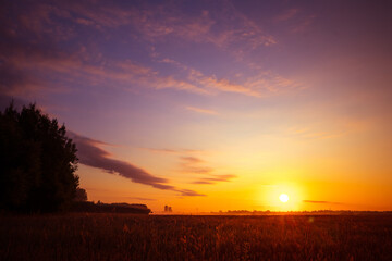 Radiant Dawn: Majestic Colorful Sunrise Painting the Summer Fields in Northern Europe