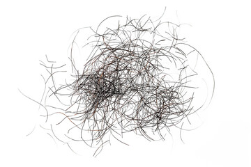 pubic hair fall isolated on white background