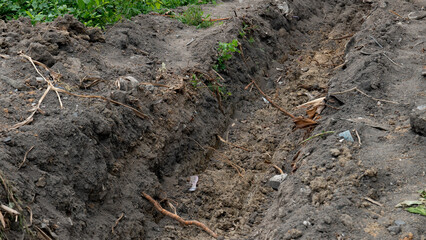 Earthen ditch was dug through the middle to make a drainage channel. Garbage and logs emerged from...