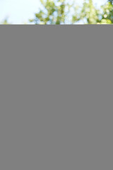 baby girl playing in sand on outdoor playground