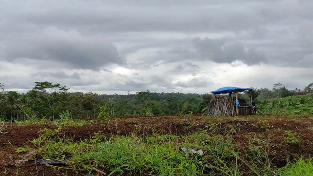 time lapse vide of cloudy clouds blown by strong winds in fild that has been harvested