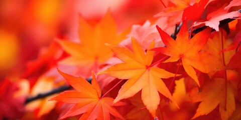 Autumn colorful leaves background, Falling leaves natural background, generative ai