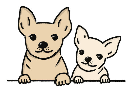 two chihuahua dogs with paws climbing on table, smiling. Line drawing illustration.