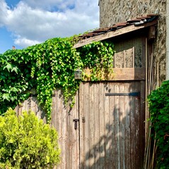 Ivy hangs from the roof of a garage or barn near the house