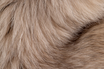 part of a fur coat made of natural beige arctic fox fur