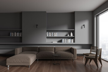 Gray living room interior with couch and bookshelves