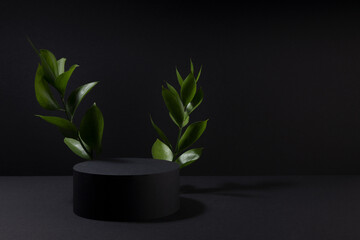 Obraz na płótnie Canvas Black abstract stage with one circle podium mockup with bright tropical green leaves, template for presentation cosmetic products, goods, design, advertising, sale, in modern black friday style.
