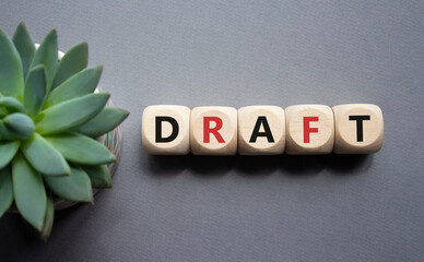 Draft symbol. Concept word Draft on wooden cubes. Beautiful grey background with succulent plant....