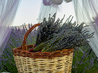 The doorway in the lavender garden, the tulle curtain and the texture of a lap of lavender in the basket © emerald_media