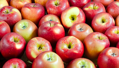 top view of bunch of fresh apples