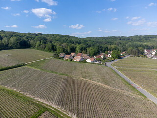 Panoramic aerial view on green premier cru champagne vineyards and fields near village Hautvillers...