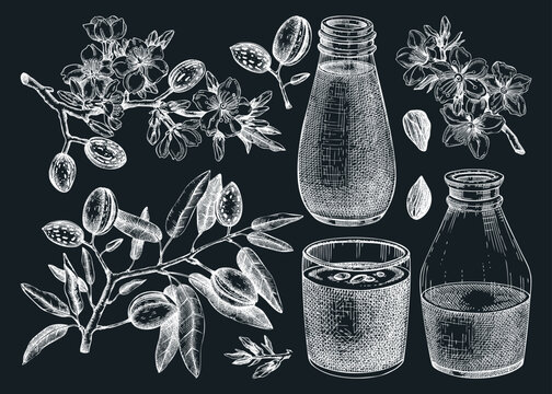 Almond milk set. Dairy products design elements. Plant milk in glass, bottle, almond nut, blooming branches with leaves and flowers sketches. Nut milk, healthy drink vector illustrations on chalkboard