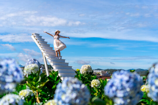 Young woman traveler enjoying with blooming hydrangeas garden in Dalat, Vietnam, Travel lifestyle concept