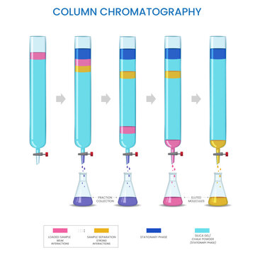 Column chromatography is a technique used to separate and purify different components of a mixture based on their differential interactions with a stationary phase and a mobile phase