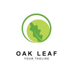 Oak leaf logo design template