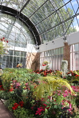Greenhouse with flowers, Auckland