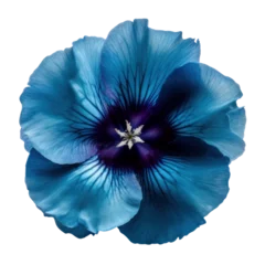 Deurstickers blue flower isolated on transparent background cutout © Papugrat