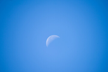 Wieczorne, bezchmurne, niebieskie niebo. W środku kadru widać białą tarczę księżyca. Księżyc wchodzi w fazę ostatniej kwadry. - 623723307