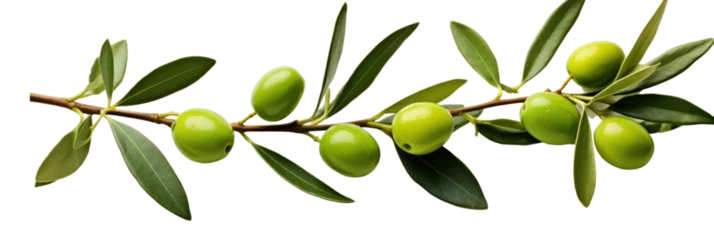 Foto op Plexiglas Olive tree branch, green olives and leaves isolated on transparent background, banner, PNG © Rawf8