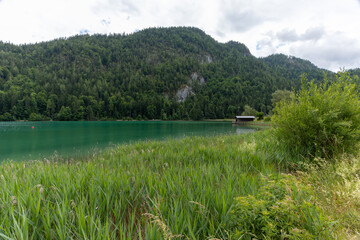 Hintersteiner See in Scheffau.