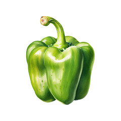Watercolor green pepper. Vegetable clipart illustration. Generative AI