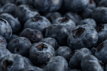 Fresh ripe washed blackberries background