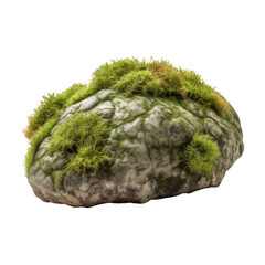 green moss on a rock isolated on transparent background cutout